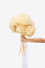 Load image into Gallery viewer, Hello Hydrangea