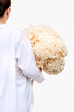 Load image into Gallery viewer, Hello Hydrangea