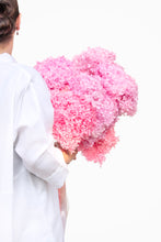 Load image into Gallery viewer, Monochrome Pink